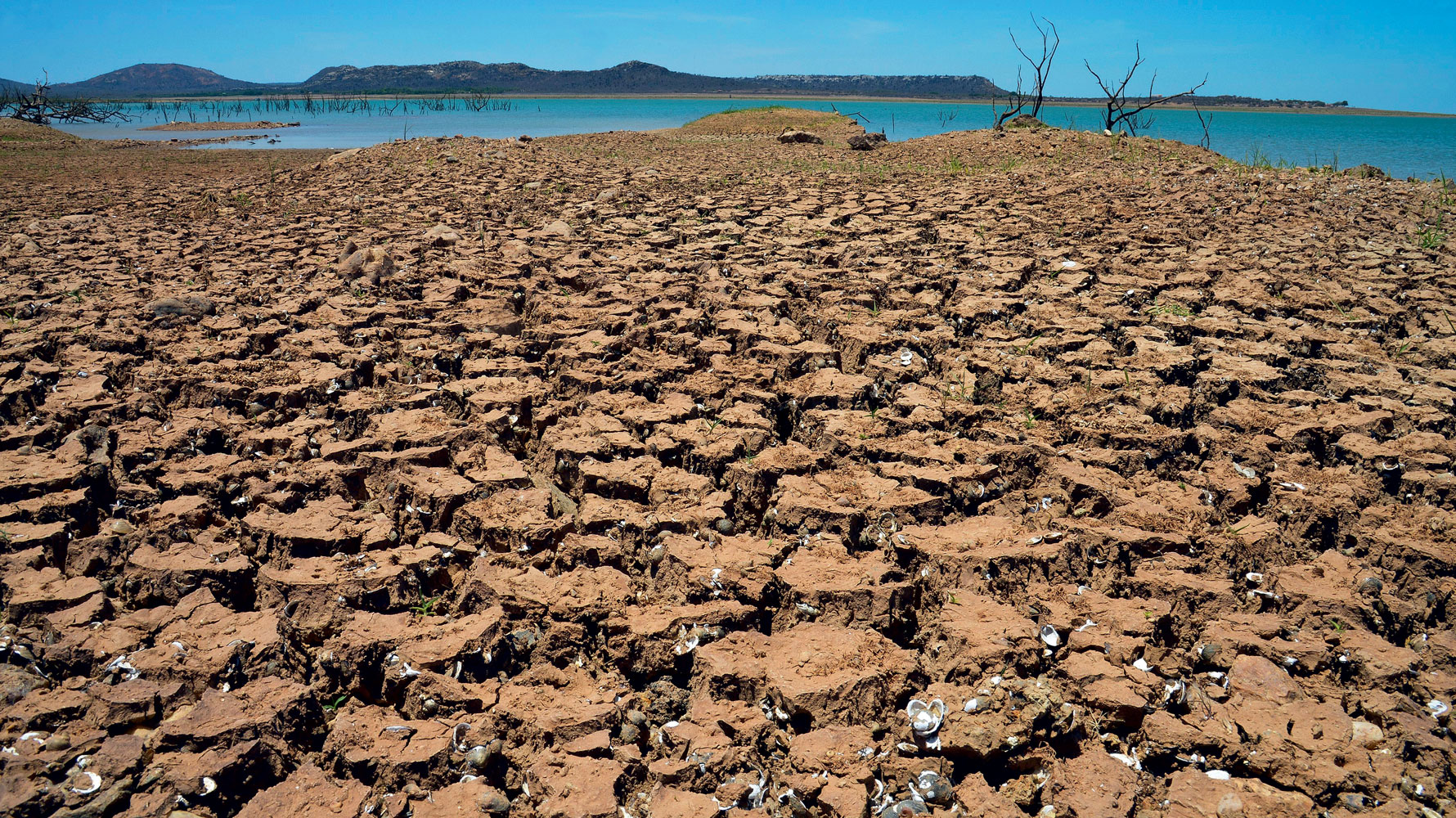 Image result for Alagoas, Brazil droughtÂ  photo