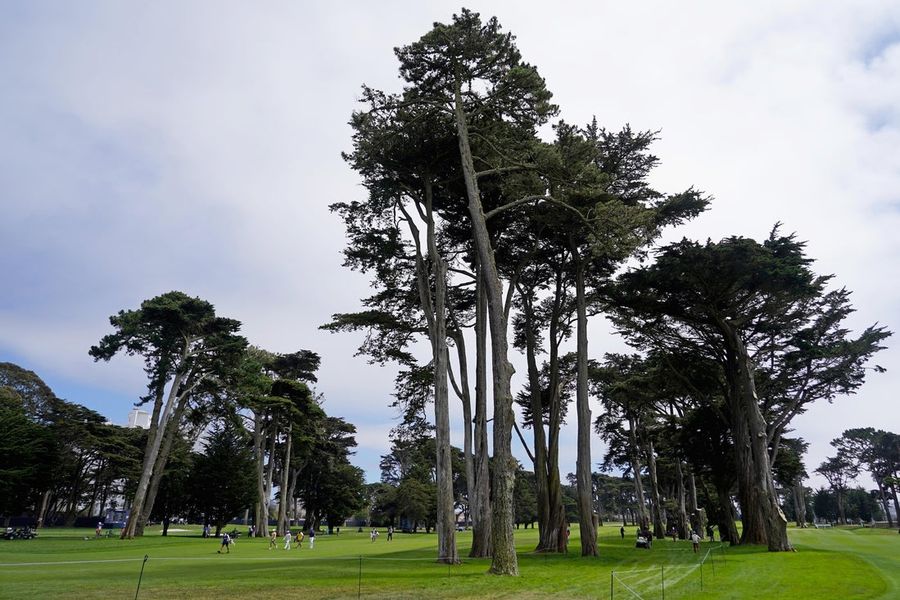 PGA: PGA Championship - First Round