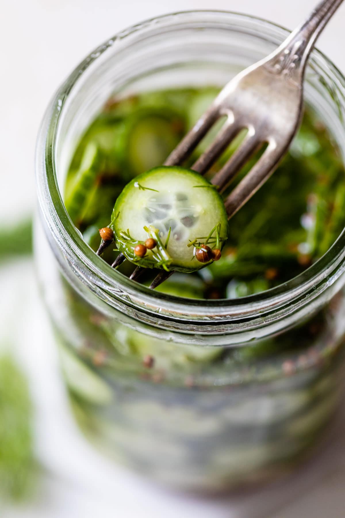 quick and easy refrigerator pickles in a jar