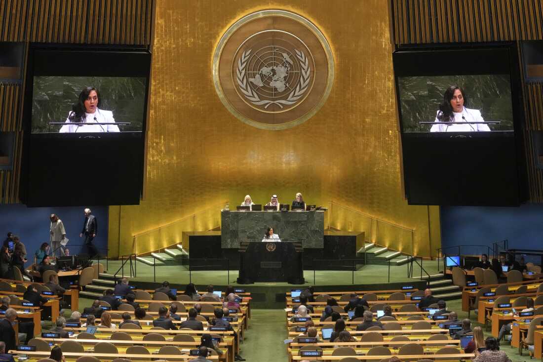 Canada Foreign Minister Anita Anand addresses the United Nations General Assembly, Monday, July 28, 2025.