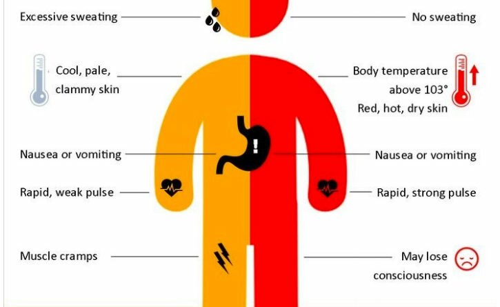 Image result for Heat stroke diagram