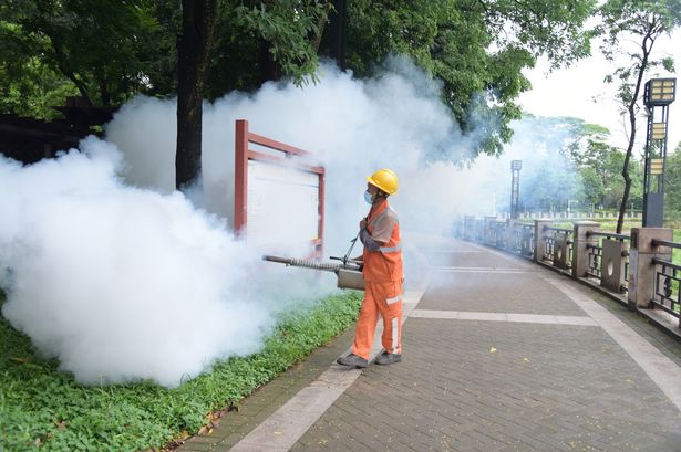 A sanitation worker sprays insecticide on a street in China