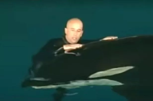 Ken Peters with whale