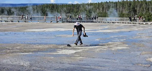 Man collecting hats in off-limits area near the Grand Prismatic Spring in Yellowstone National Park, Wyoming