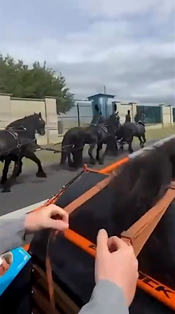 View of funeral procession from horse and cart