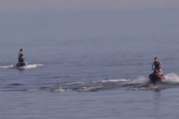 Police hunting jet ski riders over shocking act with dolphins off South Australia coast