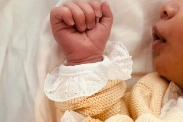 A new arrival for Prince Josef-Emanuel and Princess Claudia of Liechtenstein