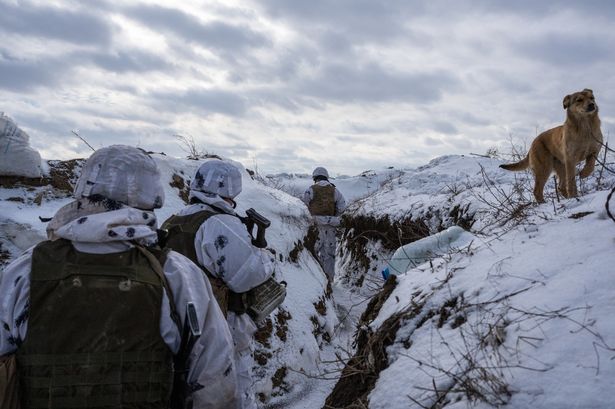 A photo of soldiers in snow
