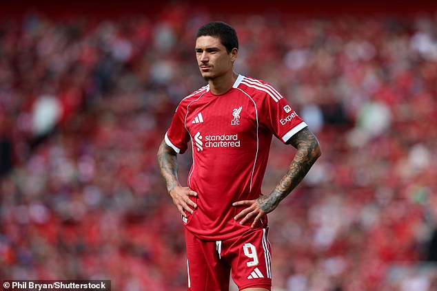 Liverpool have agreed a deal with Al-Hilal for Darwin Nunez to leave the Anfield club