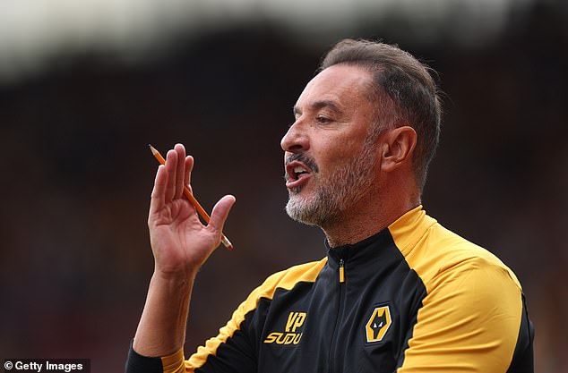 With Vitor Pereira in charge, Wolves fans can finally be more optimistic