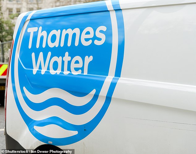 Drowning: Commercial sharpshooters at Thames Water are asking Ofwat for an exemption from fines as a price for supporting an enterprise ruined by ruthless financial engineering