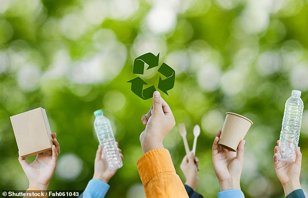 Helping the planet: Every week millions of us do our bi by rinsing yoghurt pots, flattening packaging, and sorting plastic into the right bins
