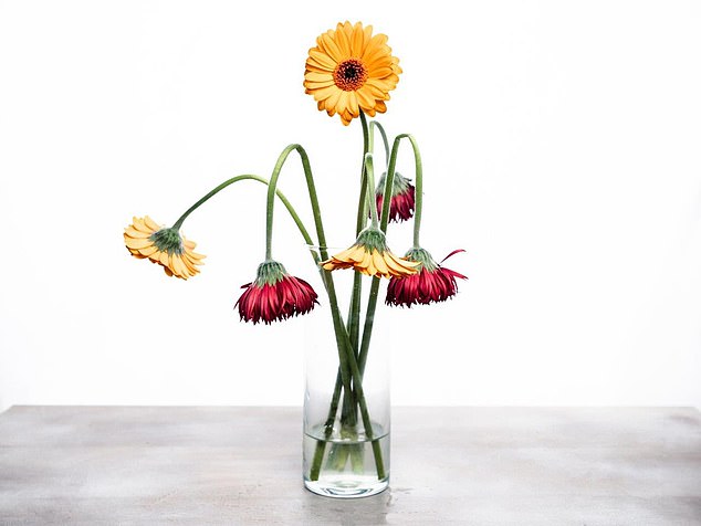 The happy feeling from getting some flowers swiftly wilted when our reader realised her sister who sent them didn