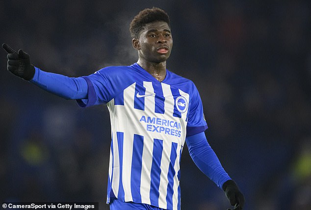 Manchester United are reportedly preparing to step up their pursuit of Brighton