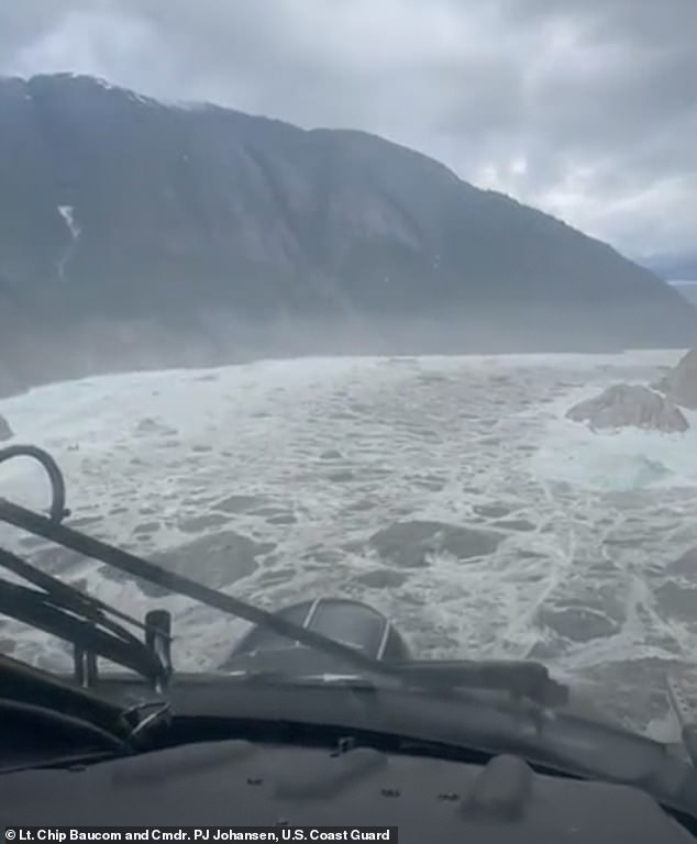 Scientists have identified the cause of a ¿mysterious tsunami¿ that struck Southeast Alaska on August 10, when the Alaska Earthquake Center received reports of water surging up slopes to 100 feet in the remote Endicott Arm area