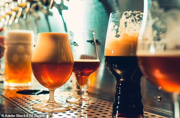 Scientists in Switzerland and the Netherlands have found that the stability of beer foam is influenced by a protein present in the liquid (file photo)