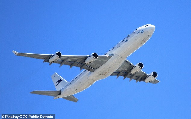 Unlike turbulence caused by storms, sudden severe turbulence during flight through cloudless skies cannot be seen on radar, making it difficult for pilots to avoid (file photo)