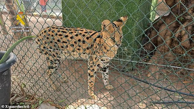 An illegal zoo housing 150 exotic animals of 56 species has been uncovered after men tried to sell the endangered creatures online
