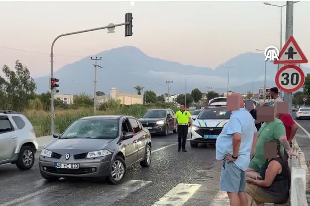 The pedestrian crossing where the accident unfolded