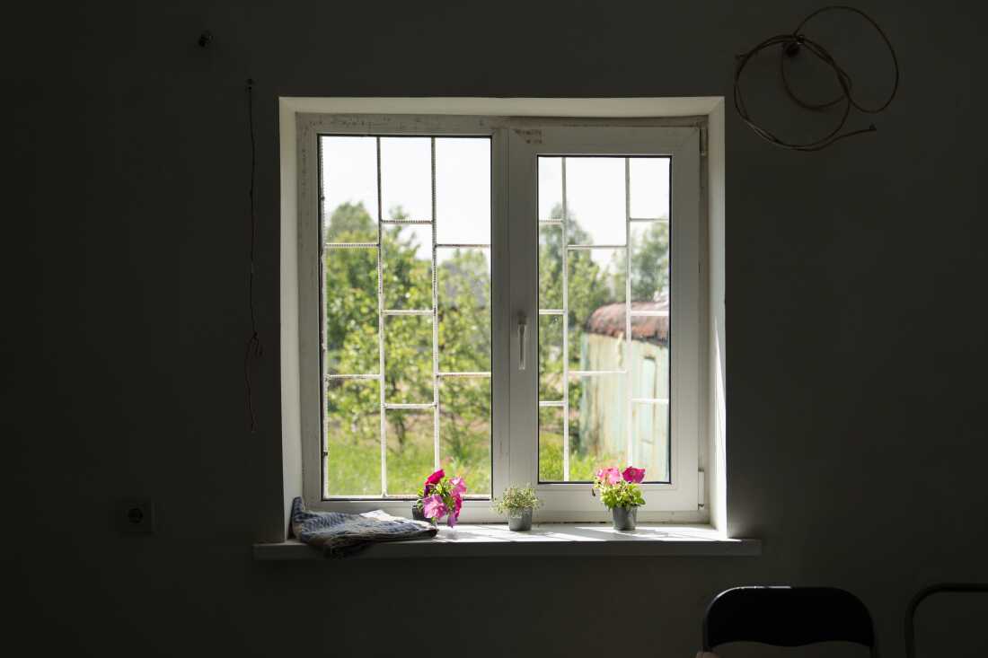 Magenta flowers planted in pots sit on a windowsill in the house in Horenychi, Ukraine. Outside the windows are trees.