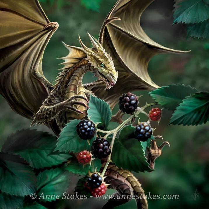 Artwork of a blackberry dragon created by gothic and fantasy artist Anne Stokes and shared on her