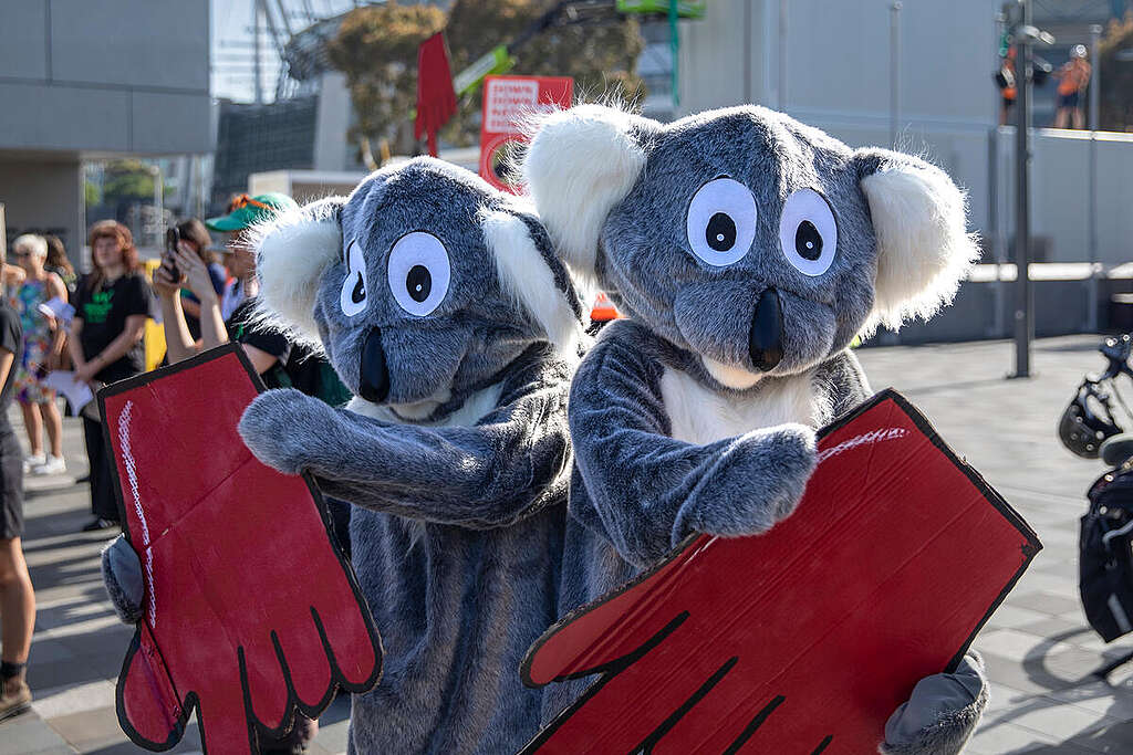 Protest Against Deforestation at Coles AGM in Melbourne. © Greenpeace / Toby Davidson