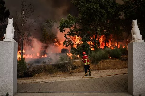 Portugal is battling hundreds of raging wildfires that have swept across the country in recent weeks,