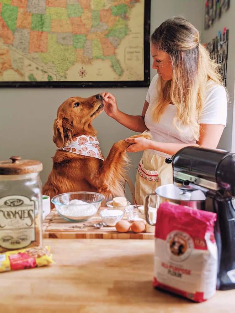 How to Start a Dog Treat Business