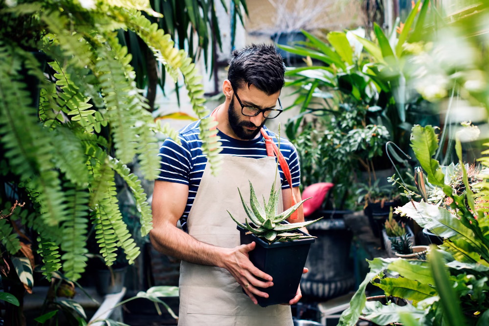 gardener