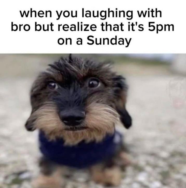 A meme captioned, "when you laughing with bro but realize that it