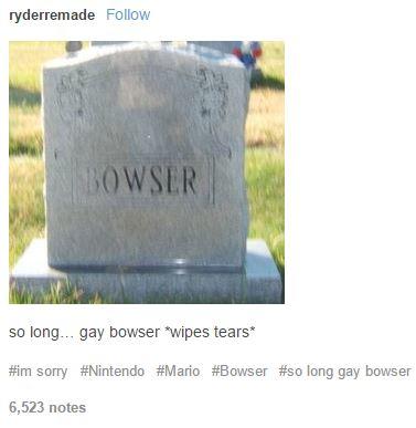 ryderremade Follow OWSER so long.. gay bowser wipes tears* #im sorry #Nintendo #Mario #Bowser #so long gay bowser 6,523 notes
