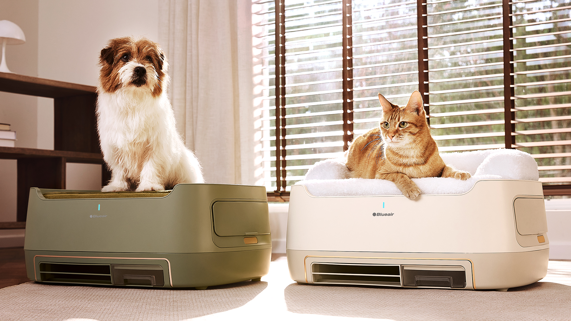 Two Blueair PetAir Pro pet bed with built-in air purifers, with a dog and a cat sat on them