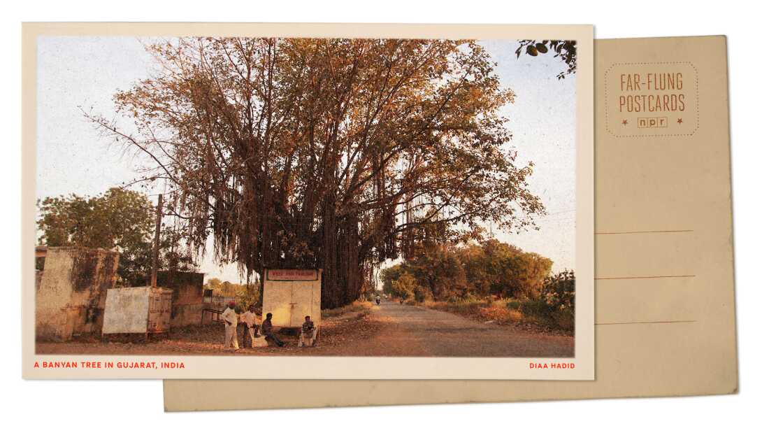 FarFlungPostcard_BANYAN-1.jpg