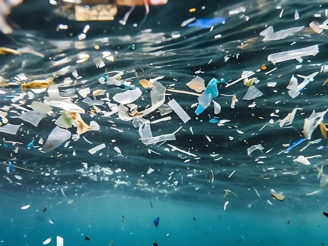 photo uk urged to adopt roadmap to fight microplastic pollution