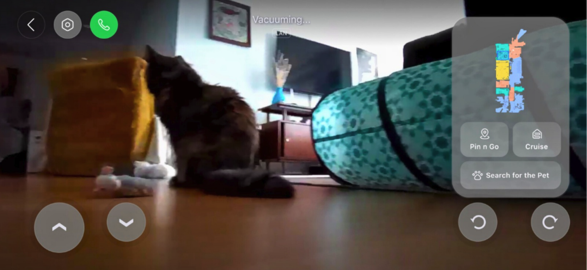 Screenshot of robot vacuum livestream camera with cat and living room scene in view