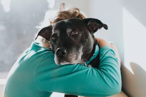 A boy and his dog in a loving embrace.