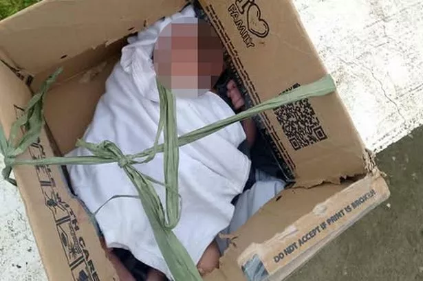 A baby - just hours old - was left at the side of a road in a cardboard box