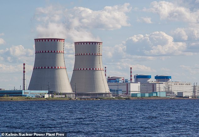 Nuclear power hits a record high: In 2024 nuclear provided 9 per cent of the world