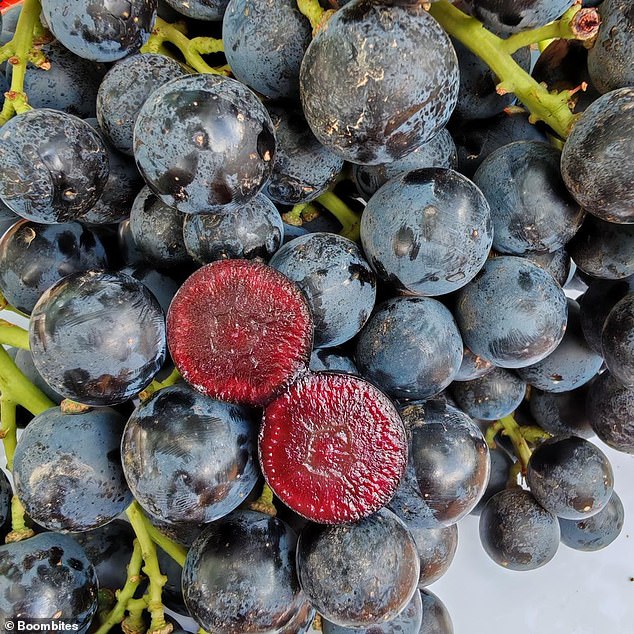 Boombites taste like grapes but have a dark cherry-like centre that is packed with antioxidants, manufacturers say