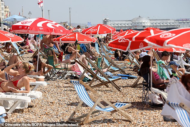 As the Met Office reveals that 2025 was the hottest summer on record, scientists say that this year