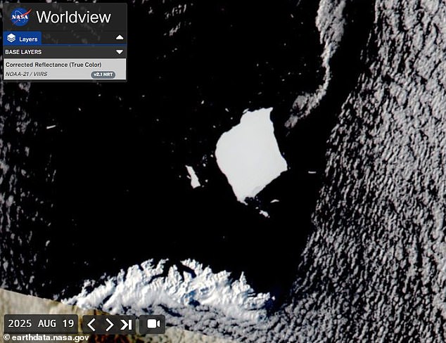 Currently, the iceberg is 683 square miles and 37 miles at its widest point - which is less than half its original size. This August 19 satellite image shows the tooth shape of A23a having become less rigid and more slender
