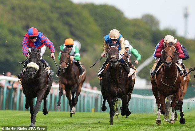 Racing will stage its first voluntary blackout on Wednesday in protest a seismic tax change