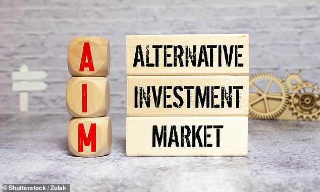 Boost: London¿s junior stock market has seen the number of firms listing nearly double this year, in a shot in the arm for the City