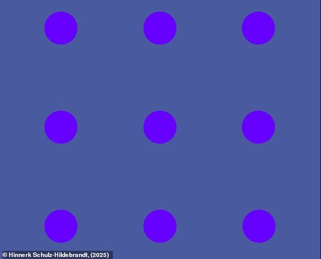 This bizarre optical illusion has divided the internet as social media users can