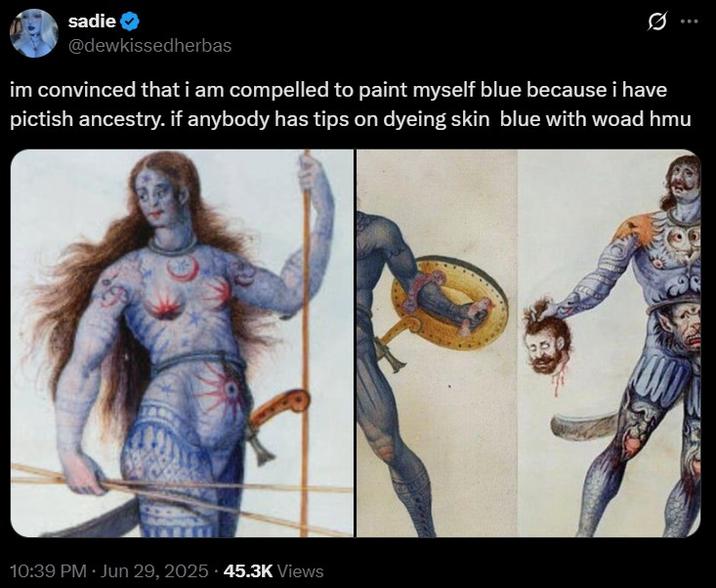 sadie @dewkissedherbas im convinced that i am compelled to paint myself blue because i have pictish ancestry. if anybody has tips on dyeing skin blue with woad hmu 10:39 PM ⚫ Jun 29, 2025.45.3K Views