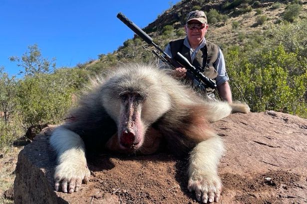 Chris Hemingway with the baboon he shot on a trip to Africa