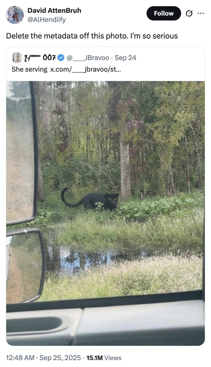 X user @AlHendiify quoted a photo of a black panther spotted in Mississippi, writing, "Delete the metadata off this photo. I