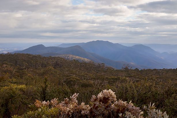 emergency services were called to Budawang National Park – about 25km north of Batemans Bay