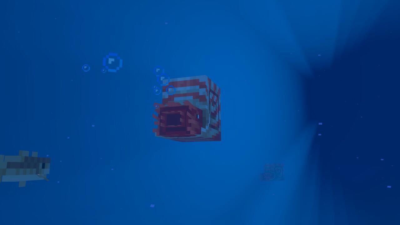 The new underwater mount, the nautilus.