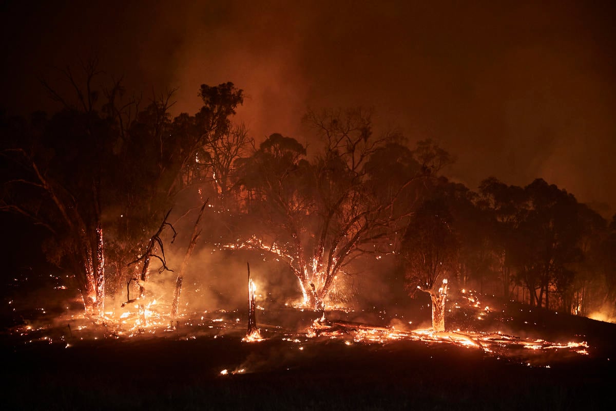 Bushfire in Snowy Mountains, Australia. © Kiran Ridley / Greenpeace